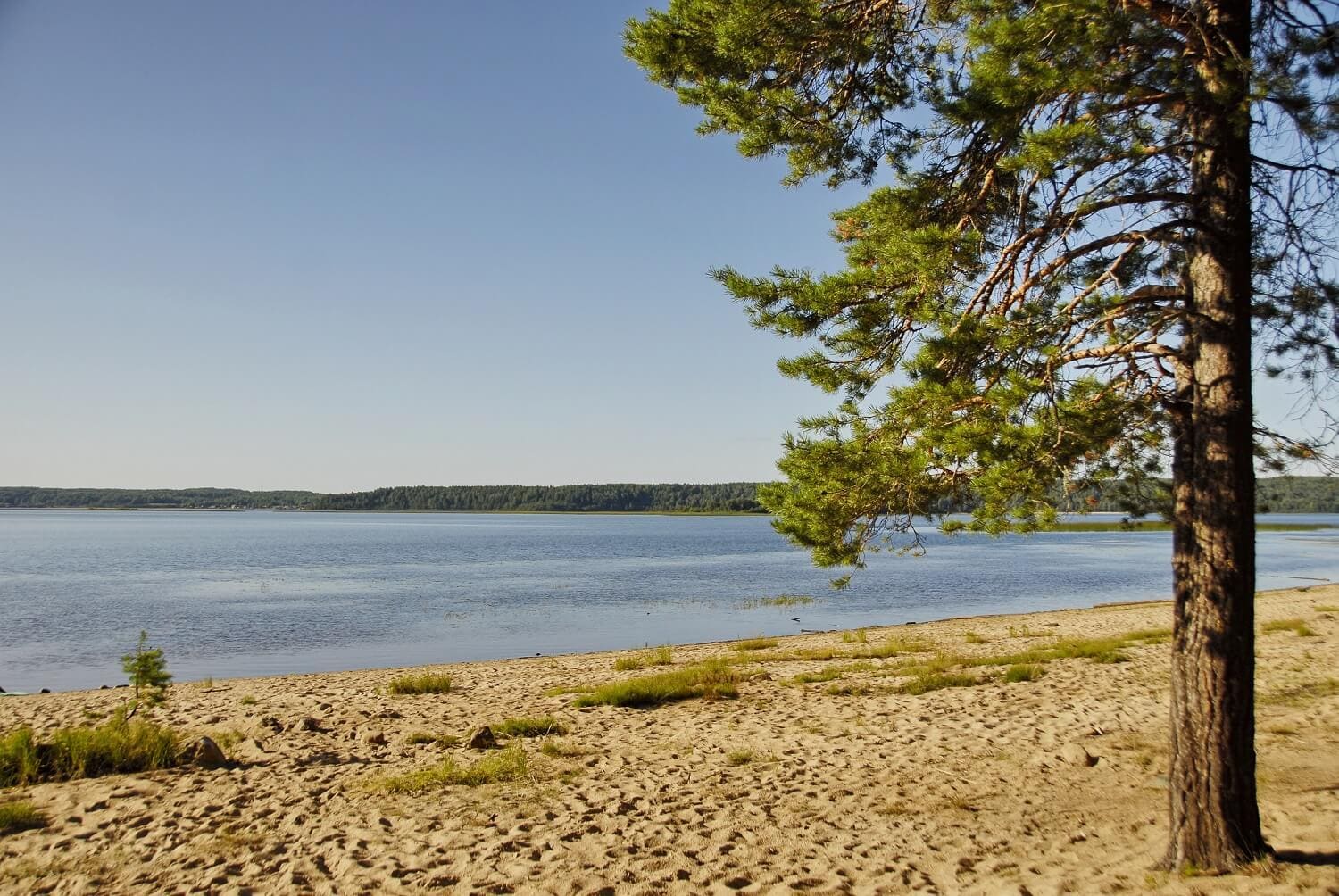 пляж на пироговском водохранилище