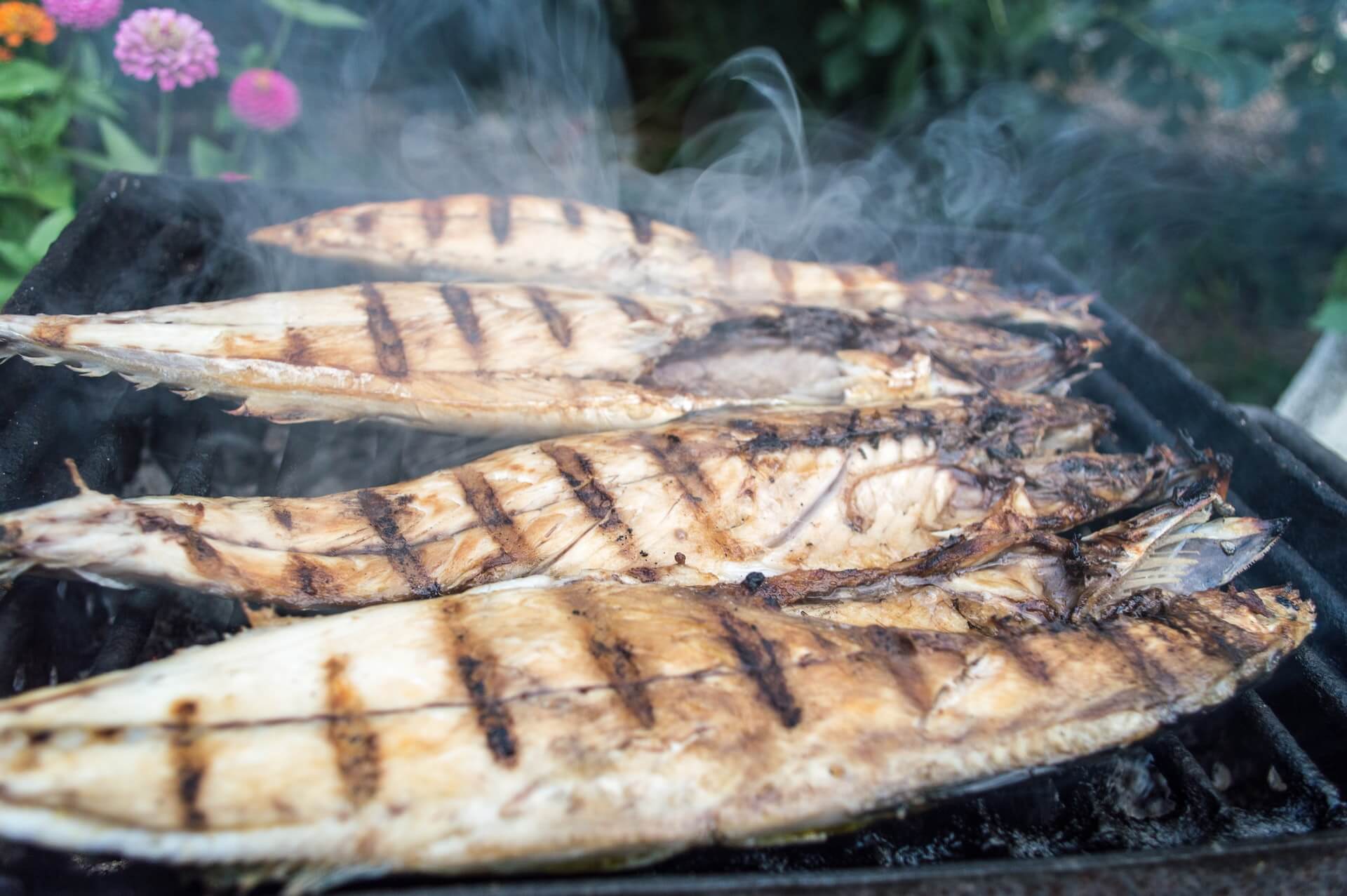 A Guide to Montenegro - Fresh fish cooking outside on a grill