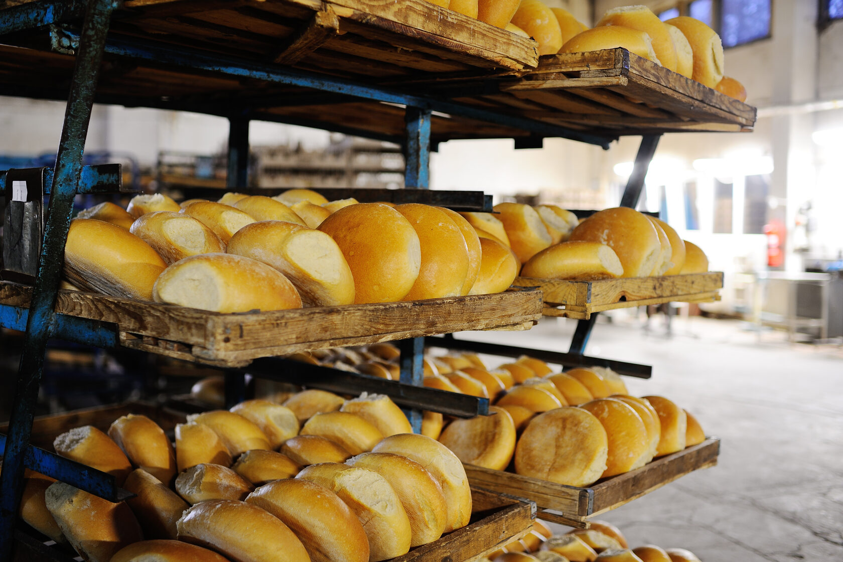 Хлеб УРОЖАЙ®, ДНР | Заказ продукции +7 (949) 487-34-84