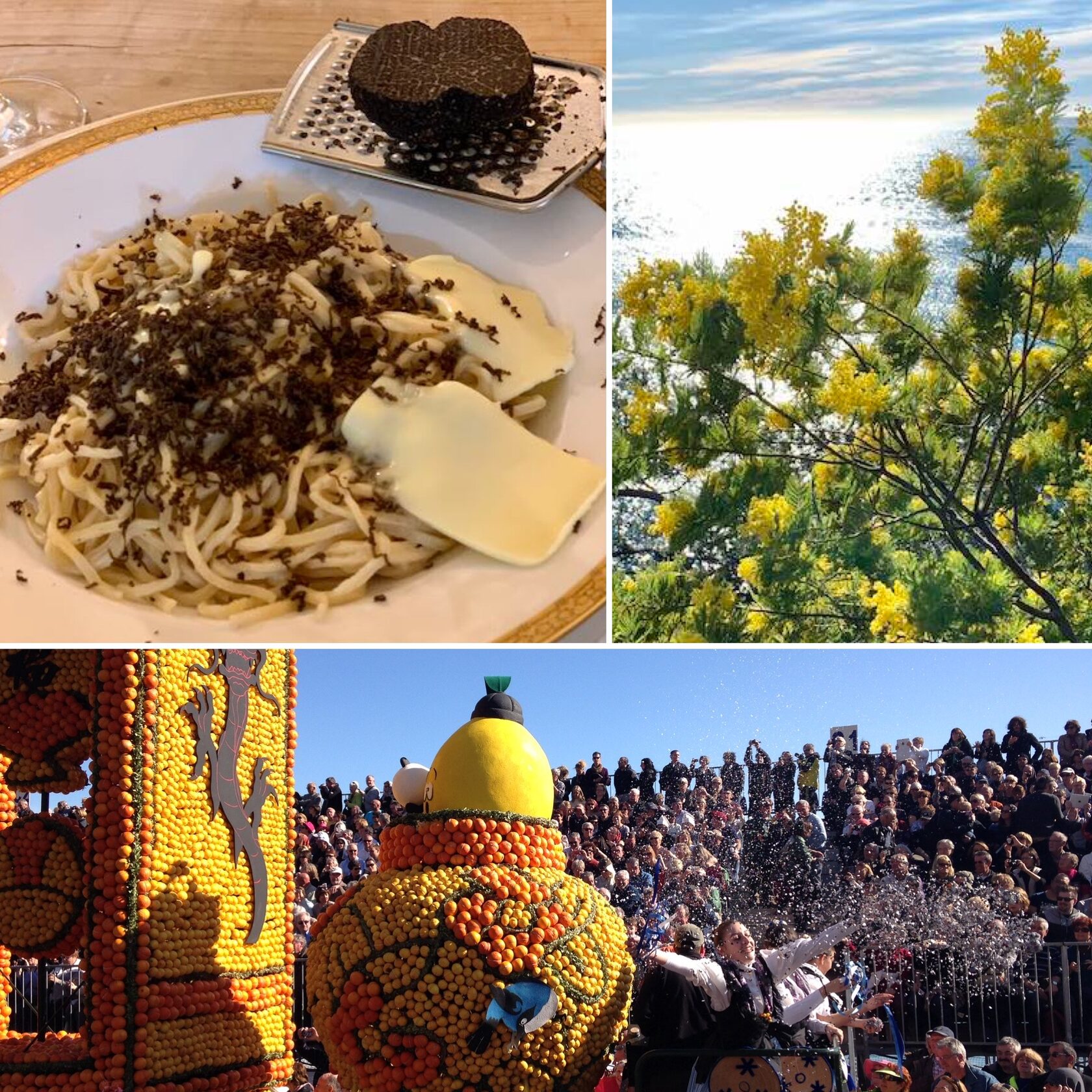 тур февраль