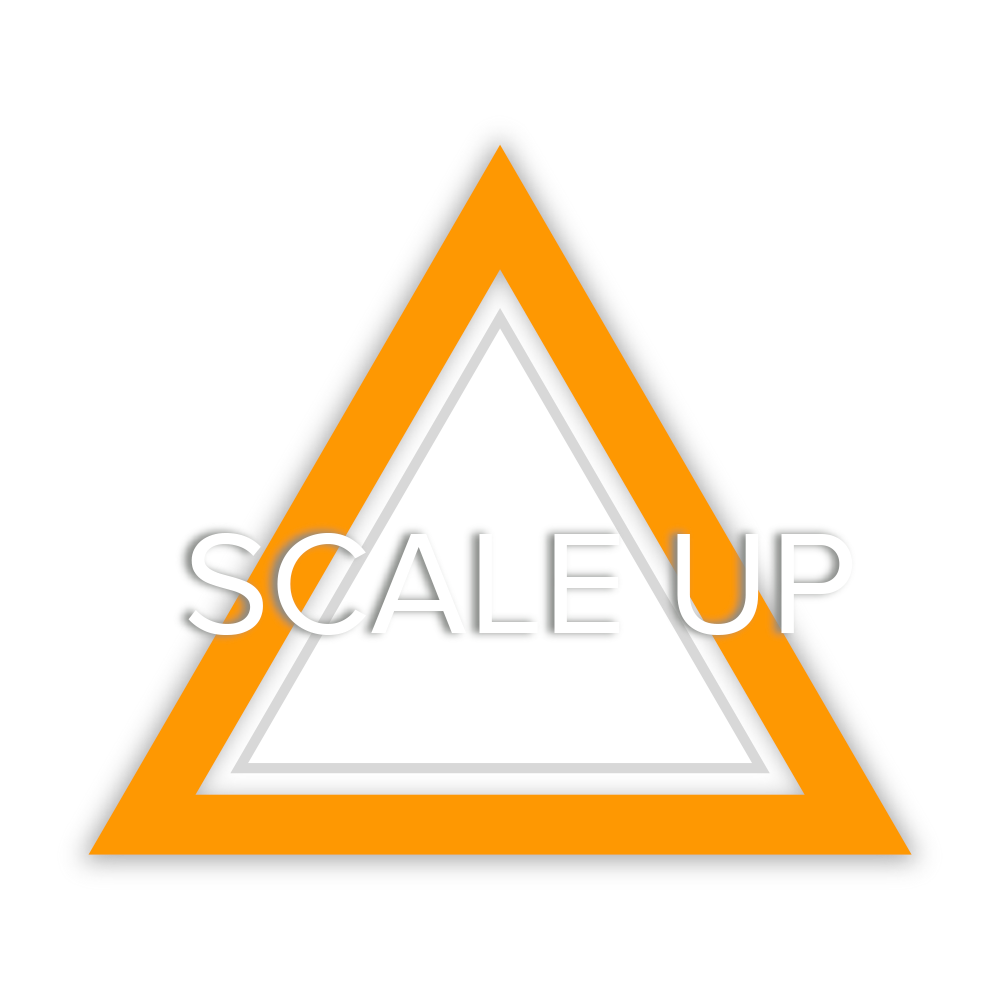 scaleup55