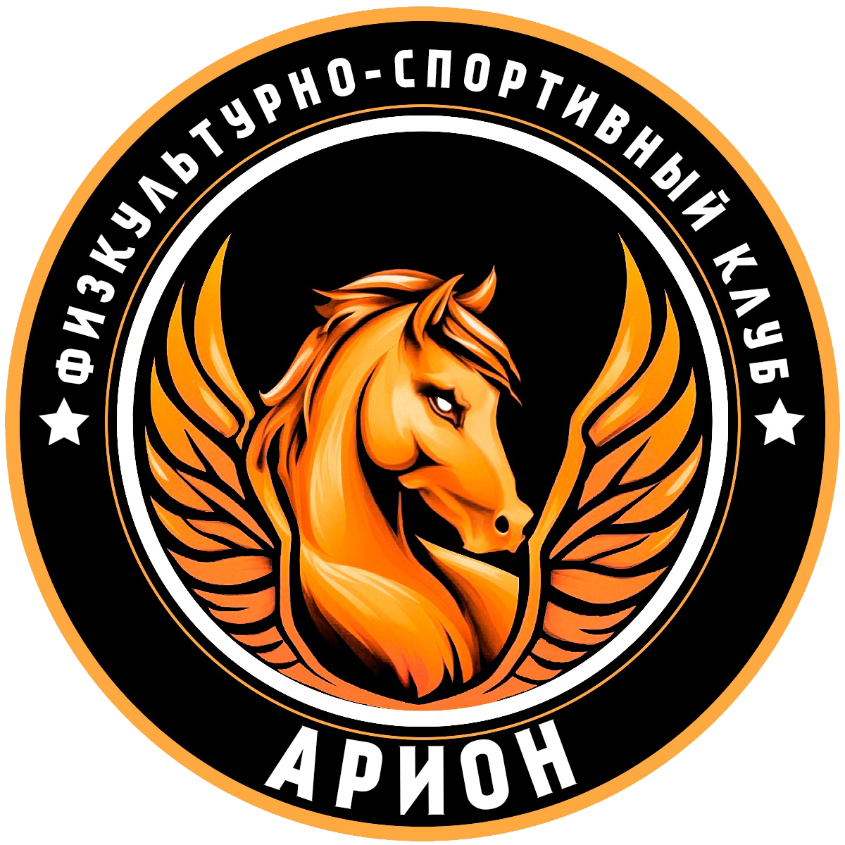  Физкультурно-спортивный клуб «Арион» 