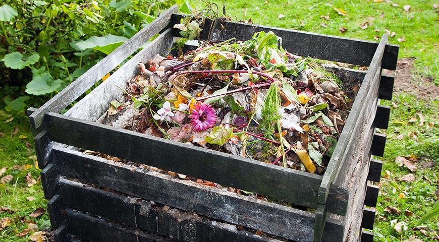 Как выбрать место для компостной кучи