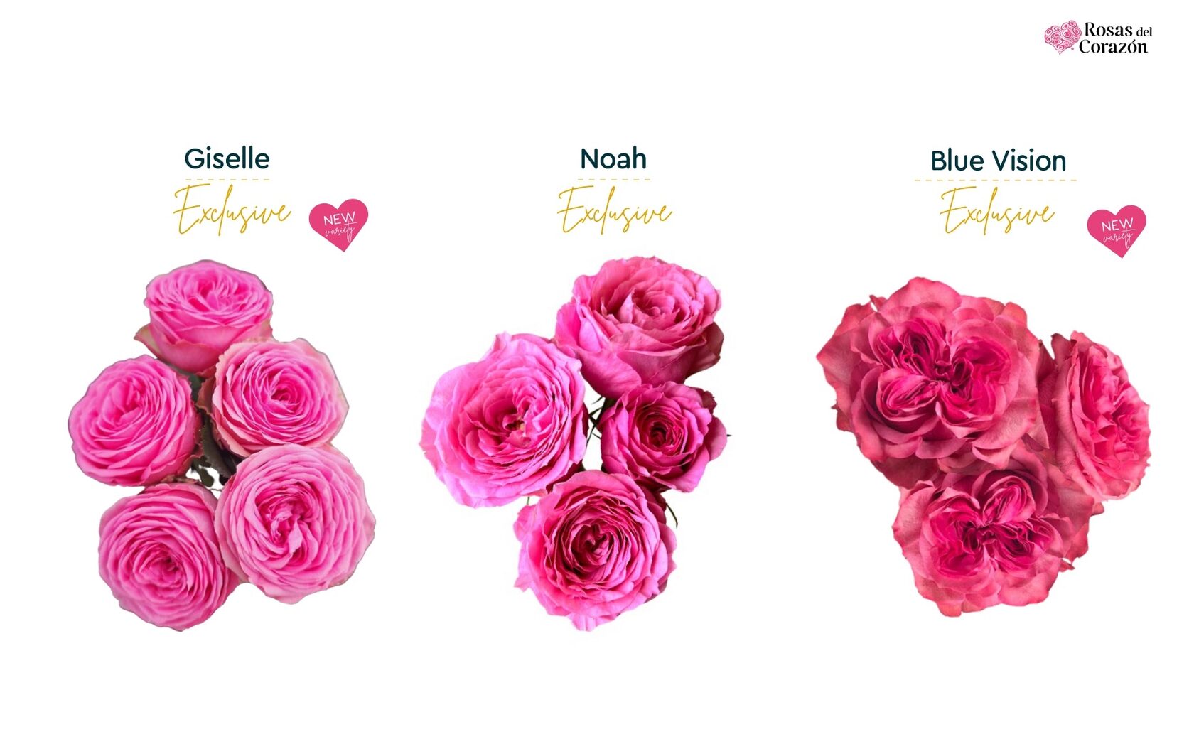 Giselle, Noah, Blue Vision