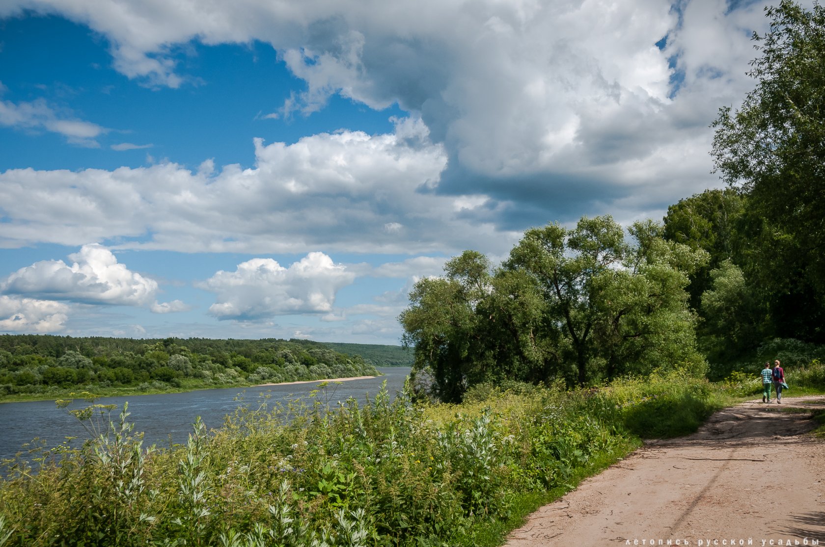 Таруса. Таруса Ока. Таруса природа. Ока летом Таруса. Таруса за рекой.