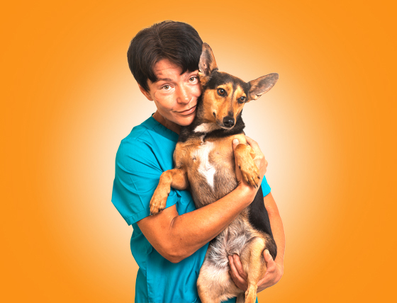 Сапожникова Екатерина Владимировна | ветеринарный врач хирург ...