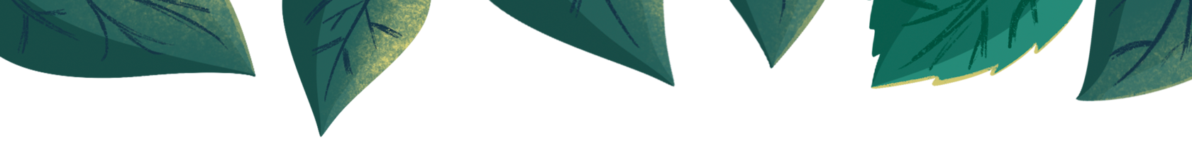 Красивая иллюстрация листьев деревьев для оформления настольной игры для детей от 3 лет