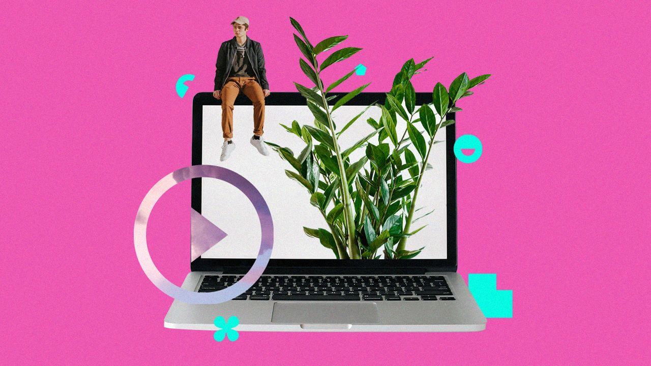 Что такое платформа zoom для обучения детей. Смотреть фото Что такое платформа zoom для обучения детей. Смотреть картинку Что такое платформа zoom для обучения детей. Картинка про Что такое платформа zoom для обучения детей. Фото Что такое платформа zoom для обучения детей