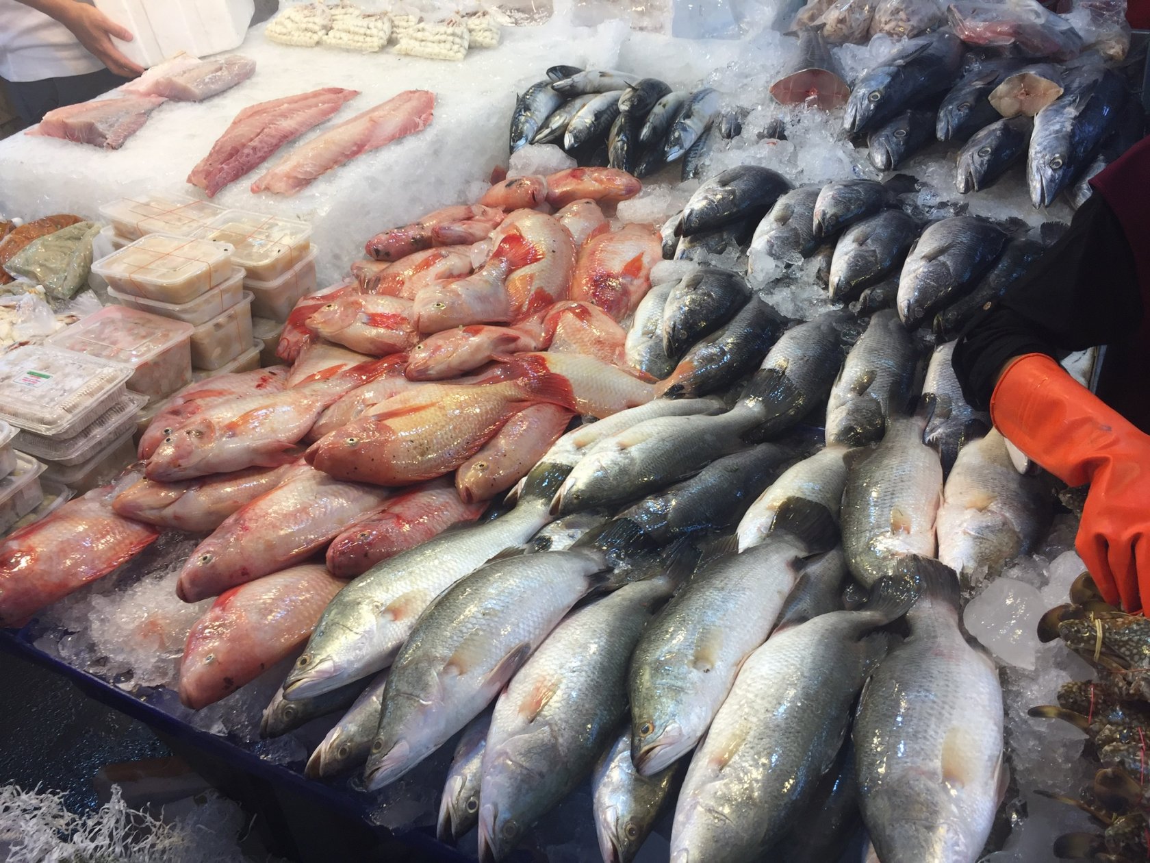 рыбный рынок в паттайе