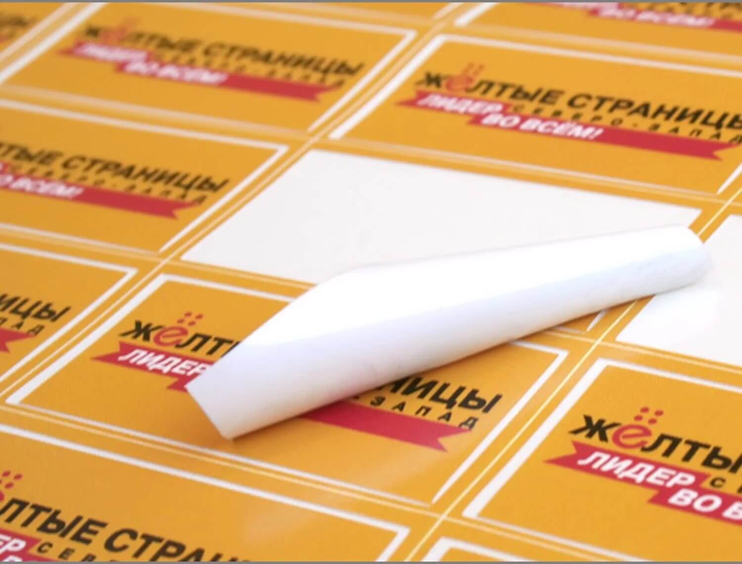 ���� �������������� ����������� ���� �� ������� ������ ������������