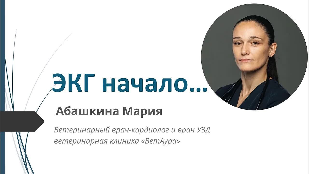 ЭКГ начало…