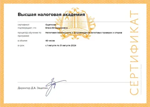 Налоговая безопасность