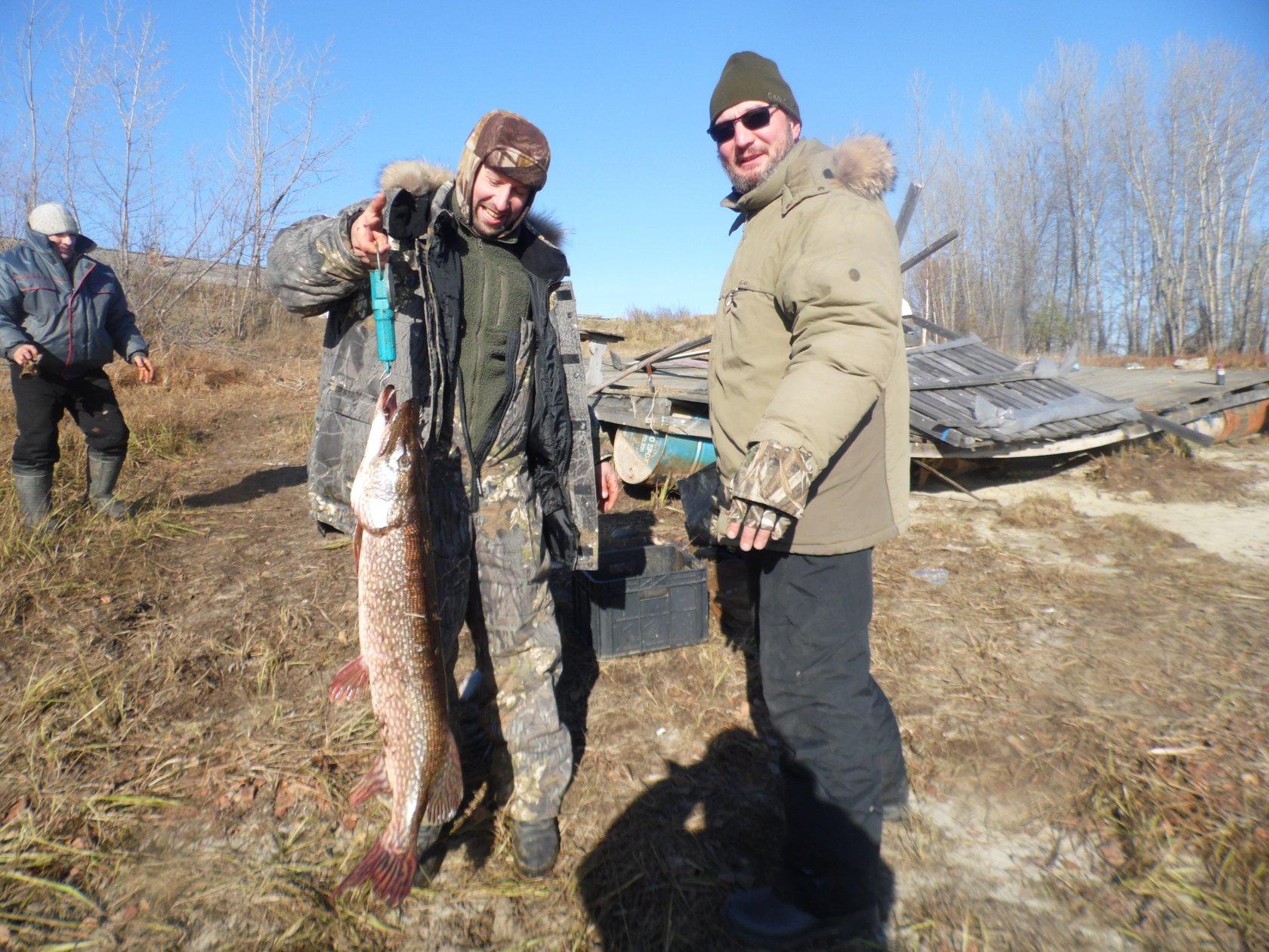 Рыбалка в свердловской области зимой на жерлицы р тавда 2017 2018 й