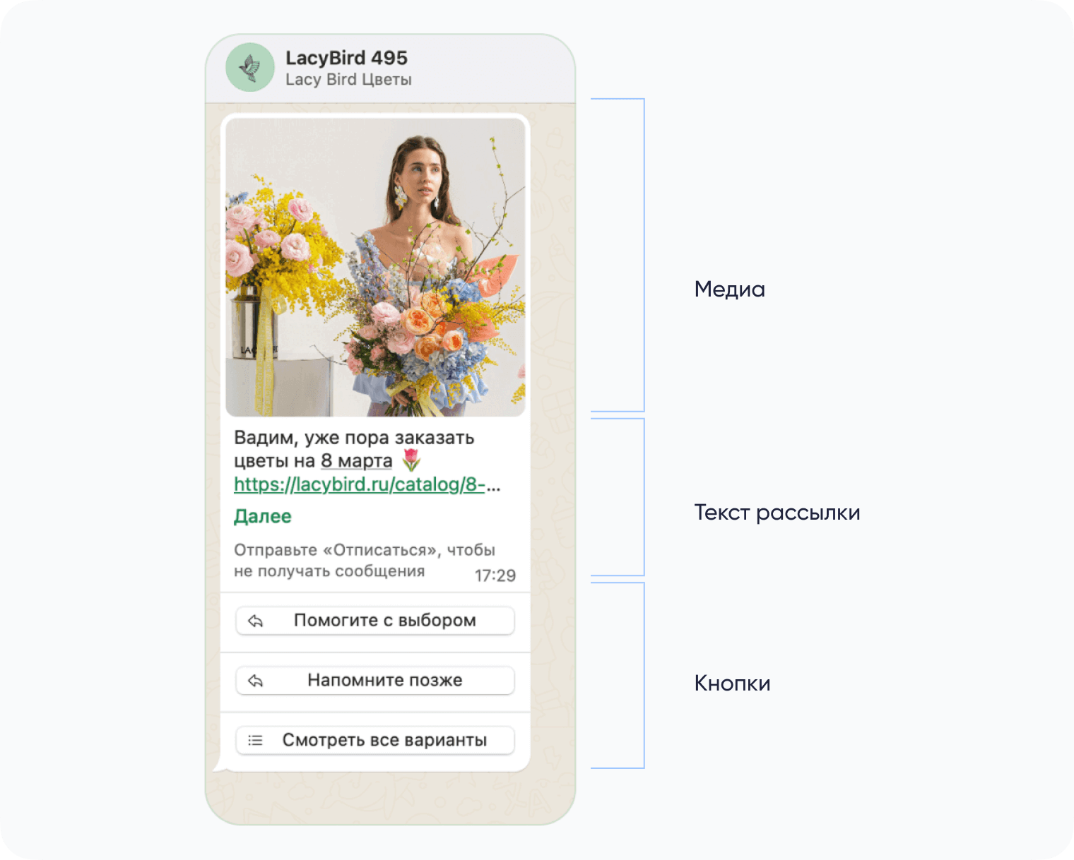 Структура WhatsApp*-рассылки