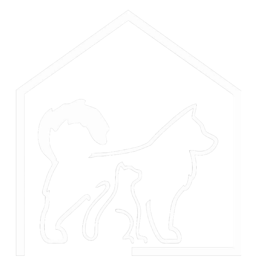 Зоогостиница PetHouse64