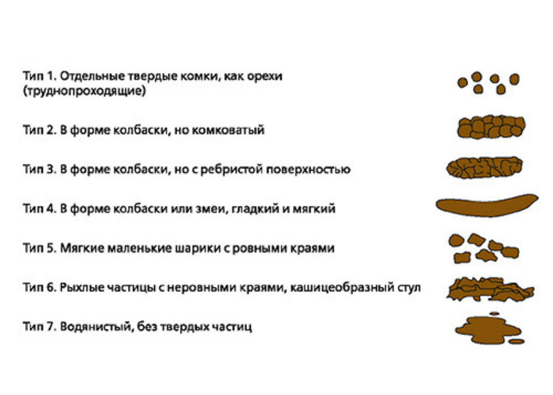 Причина зеленого кала у человека