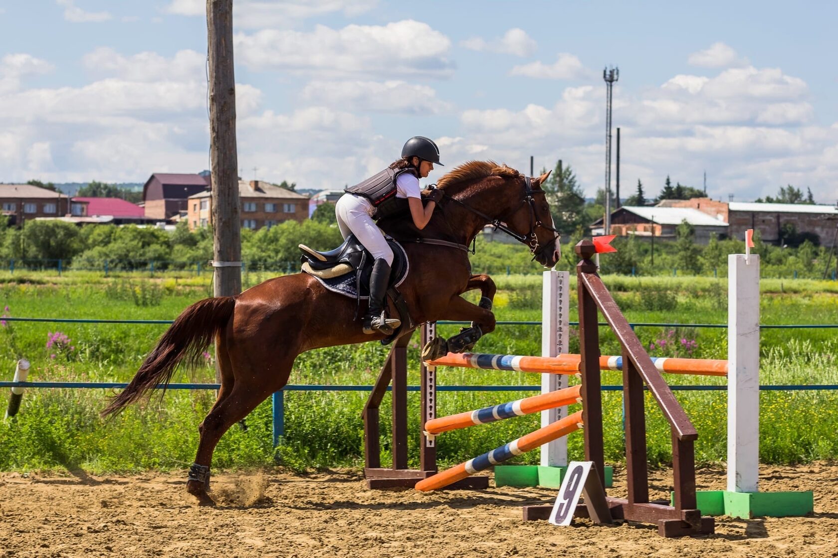 Конный комплекс