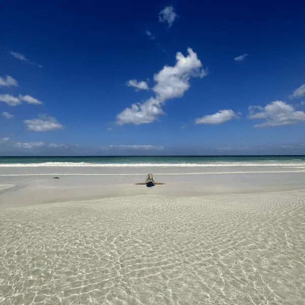 Тур в ЮАР 2024-2025 - Экспедиция к китам