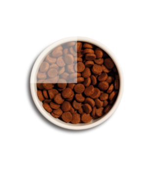 Prime Ever Superior Adult - сухой корм для кошек всех пород