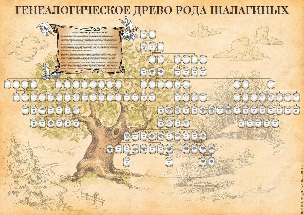 Проект жизнь генеалогия