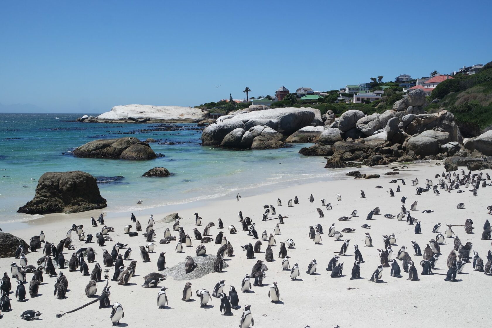 Пляж Боулдерс Кейптаун