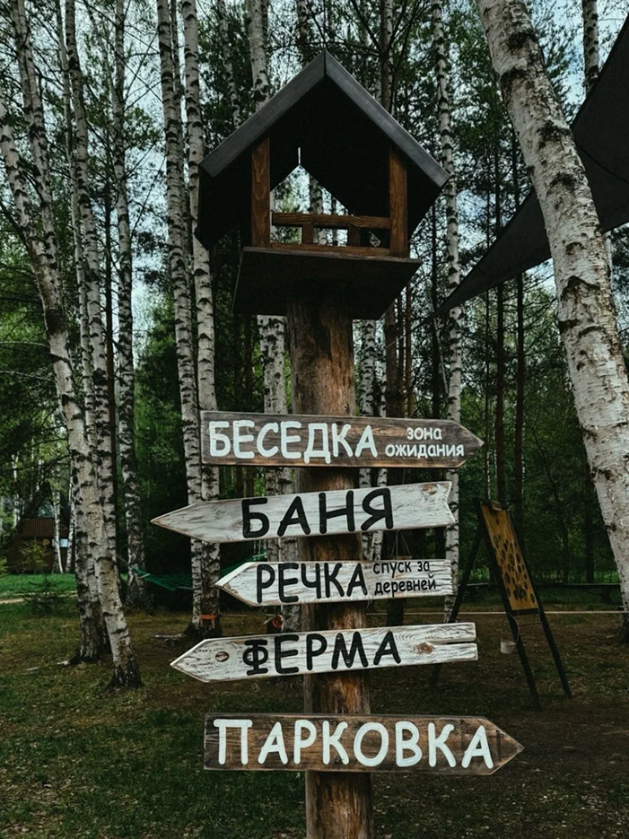 Глэмпинг Под кронами в Московской области