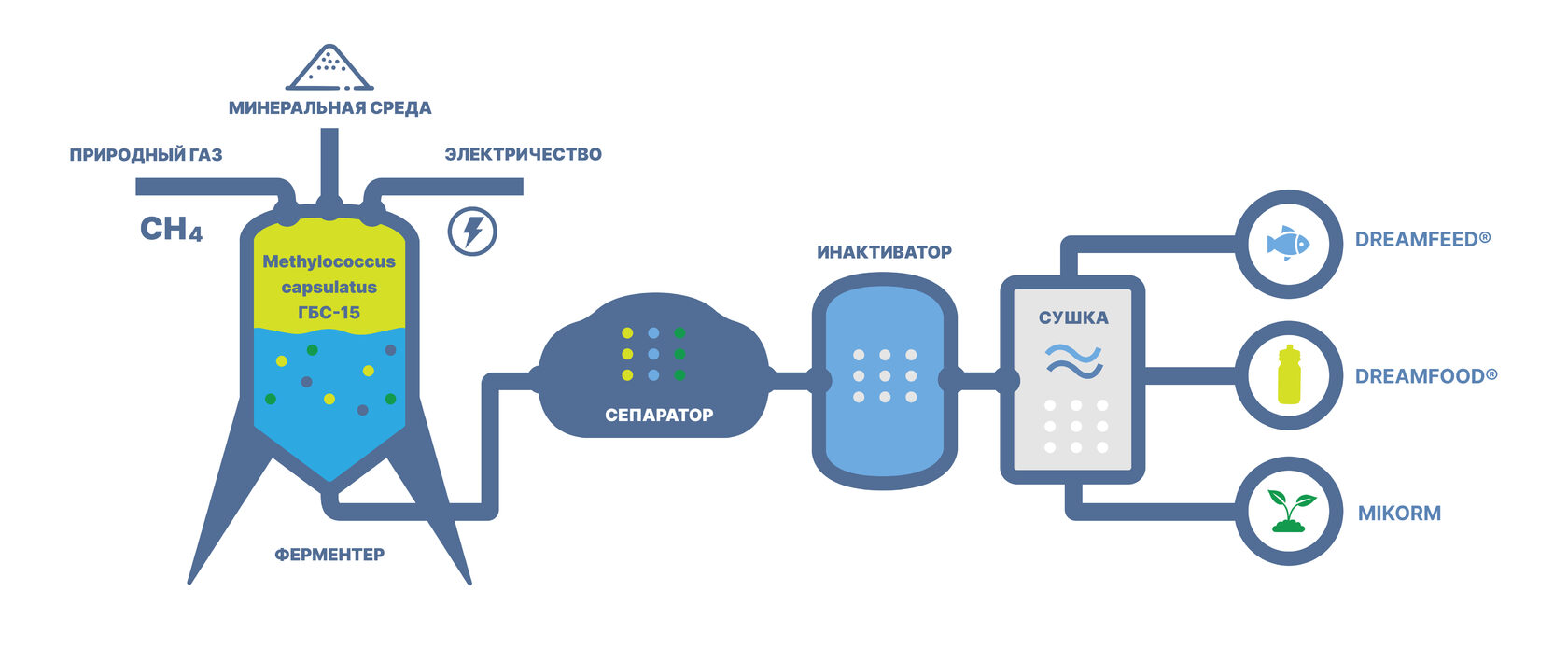 Технологическая схема получения микробного белка