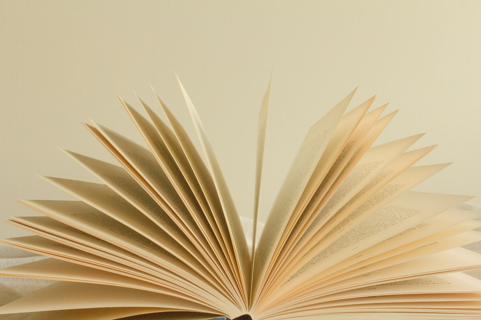 Раскрытая книга в тёплом солнечном свете