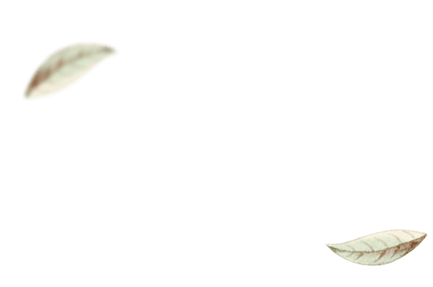 натуральная косметика, магазин профессиональной косметики, крем для ног, крем для ног с мочевиной, крем для ног купить, масло для ногтей, масло монарды для ногтей, масло для ногтей купить, косметика для ногтей, дезодорант для ног