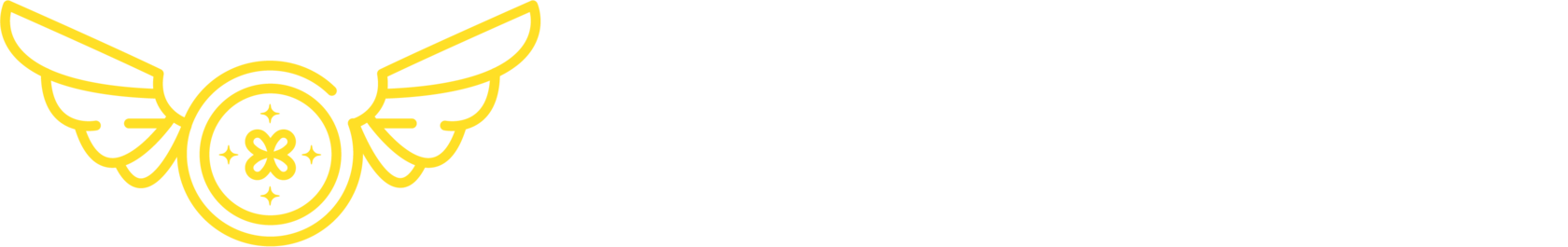 Payfyty
