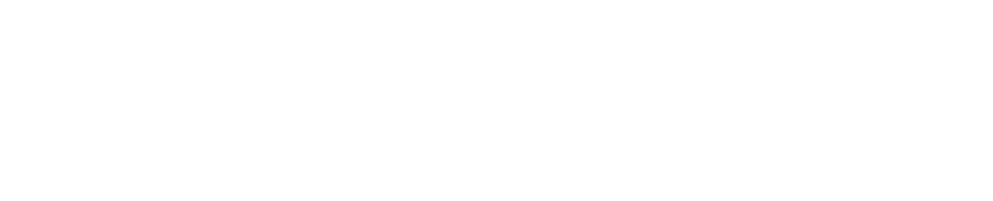 Логотип типографии PhotoLike в Омске