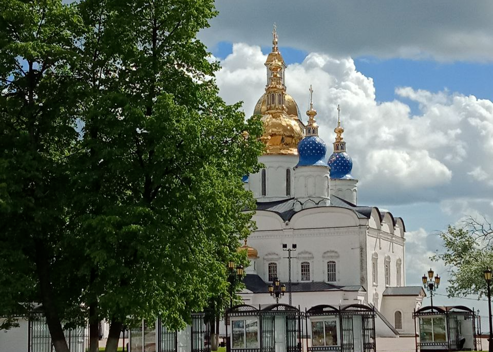 Тобольский Кремль, панорама