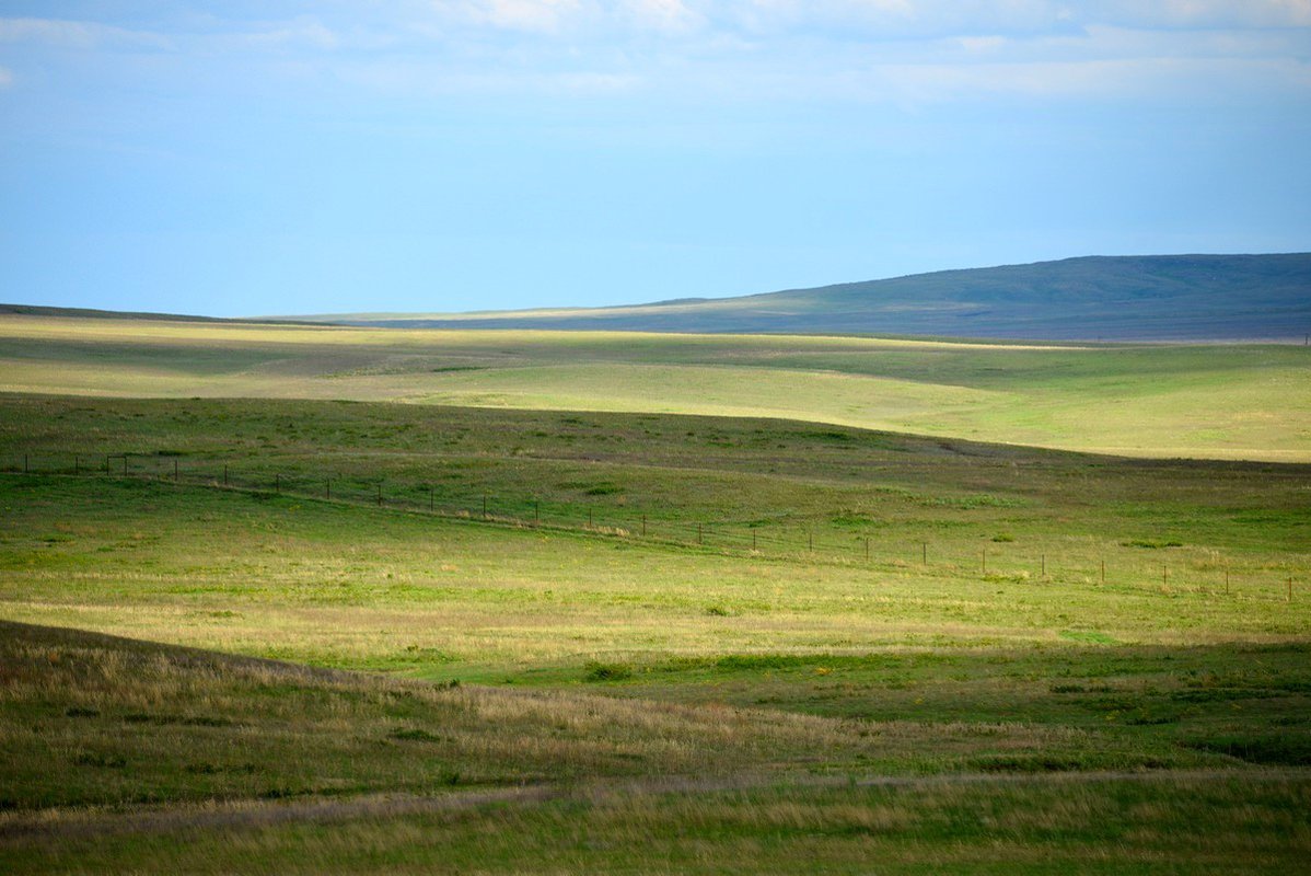 Оренбургская степь рисунок