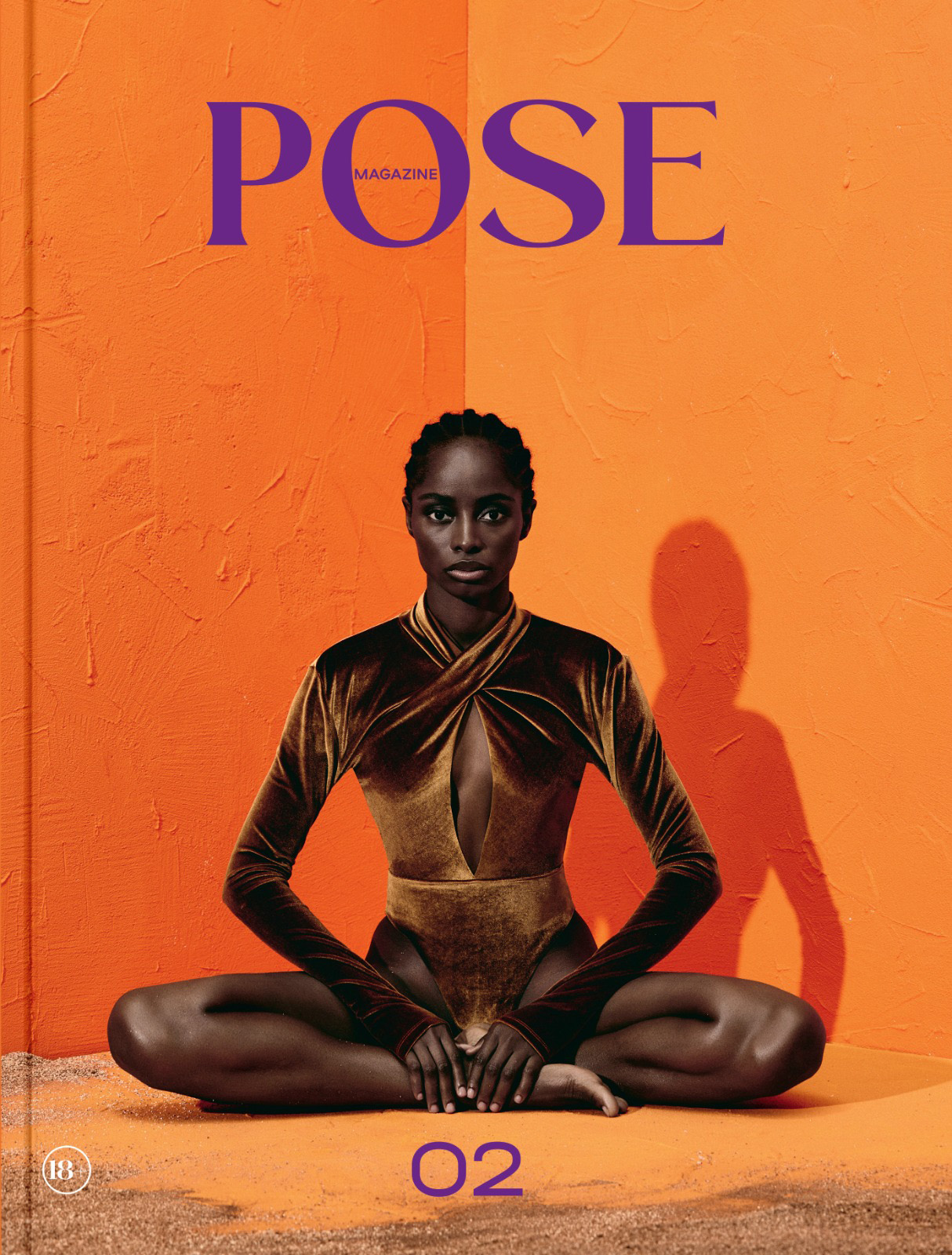 POSE MAGAZINE Art Book