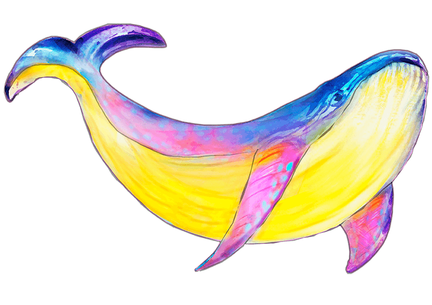 Детский клуб «Кит»