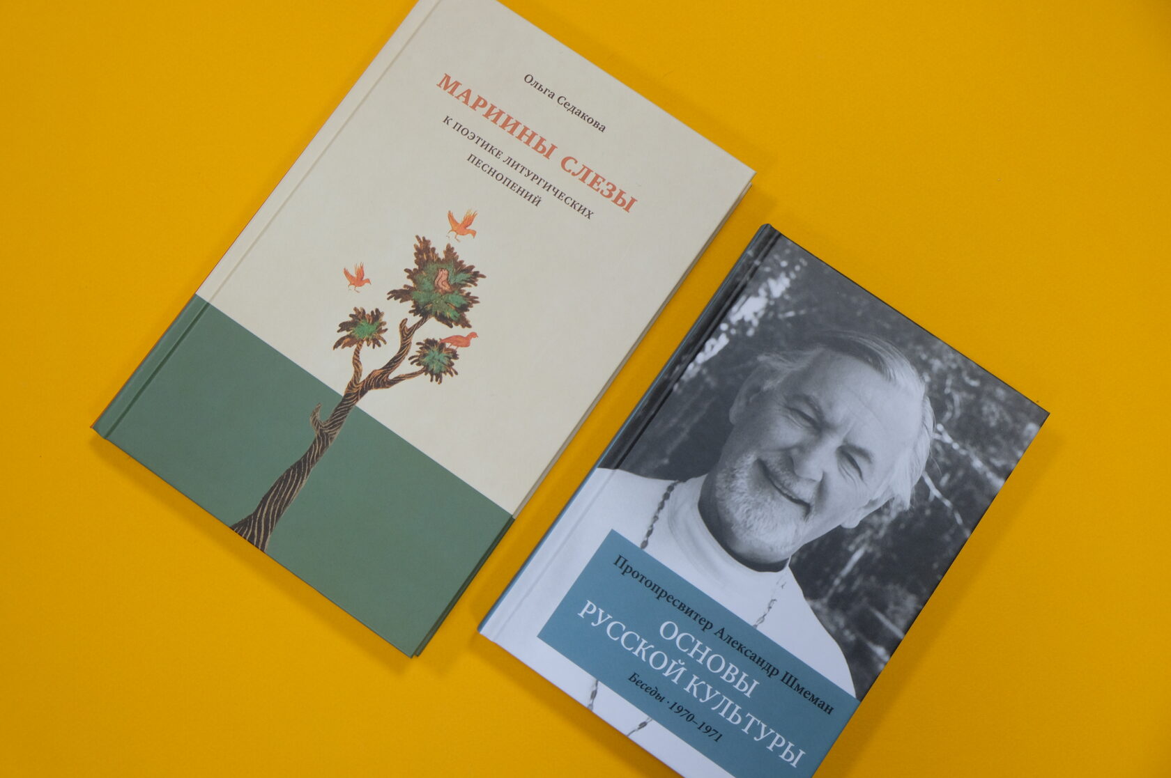 Красота Скрутона, Седакова и Бибихин, Страстоцвет, Безвидный свет