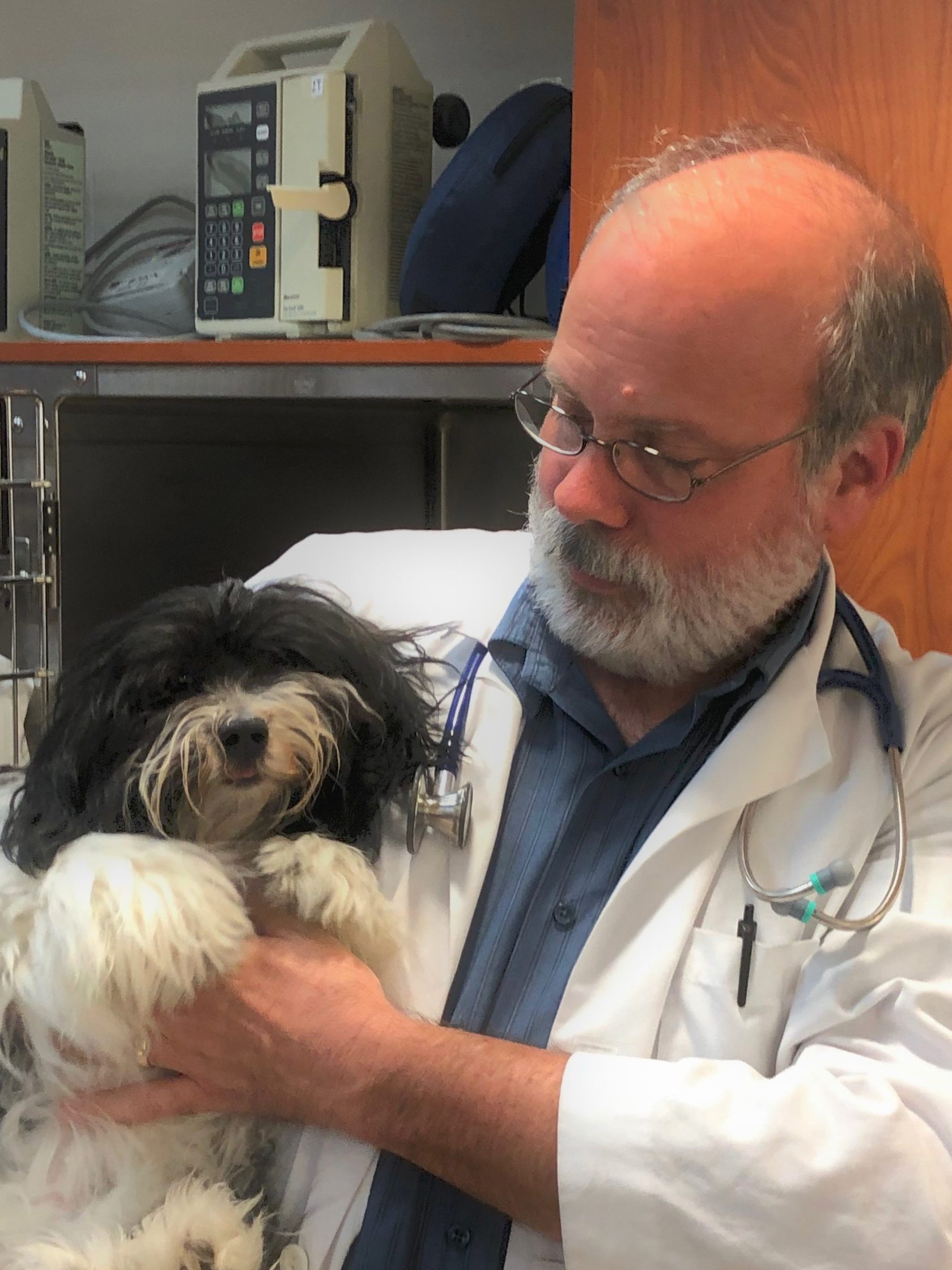 Lafayette Veterinary Hospital