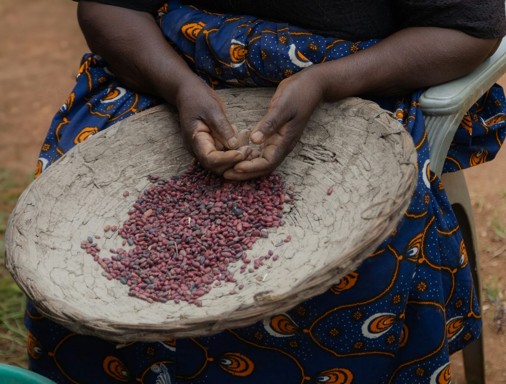Brocéliande Kenya AA