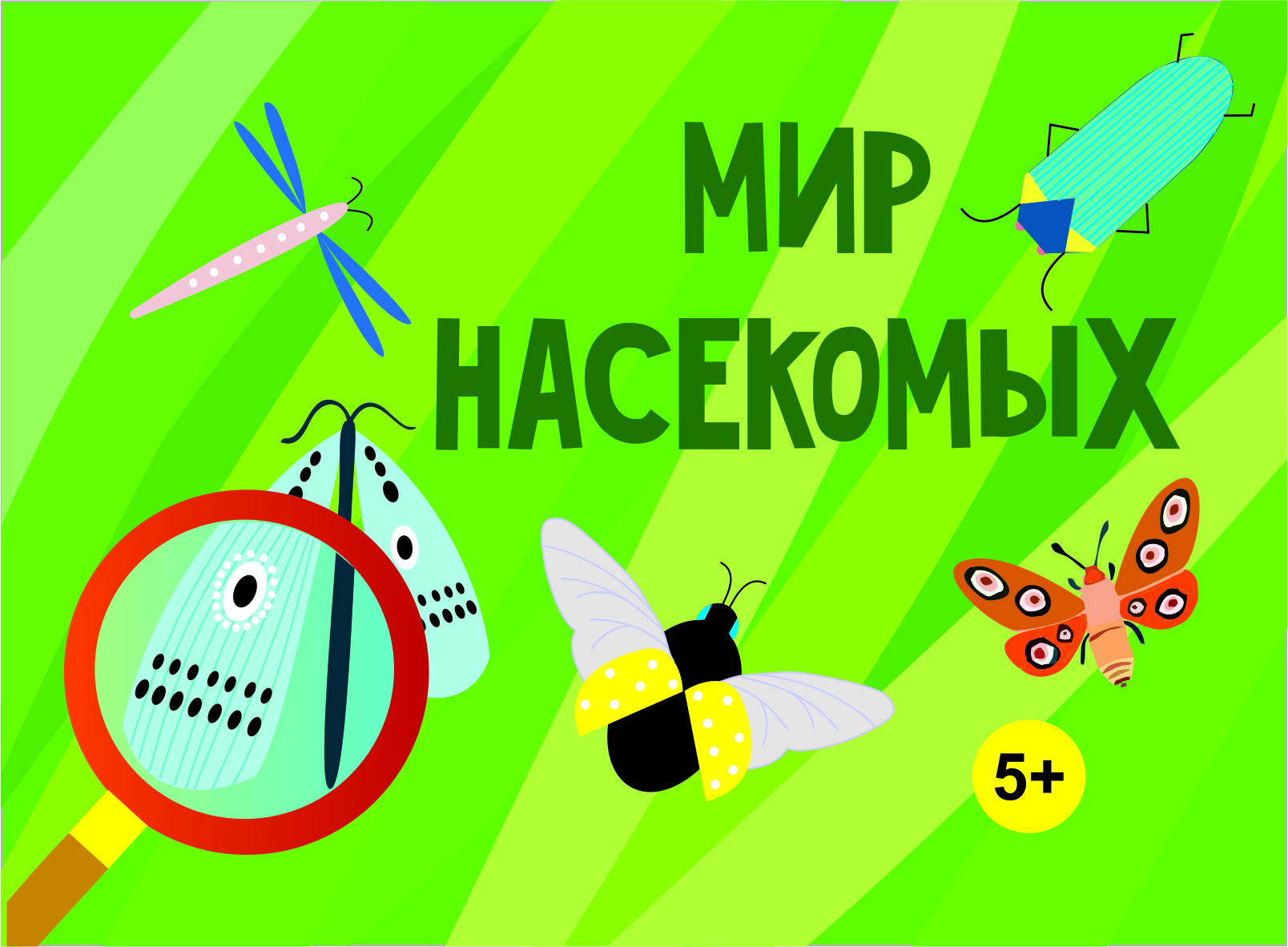 Мир Насекомых Фото Мир Насекомых Фото