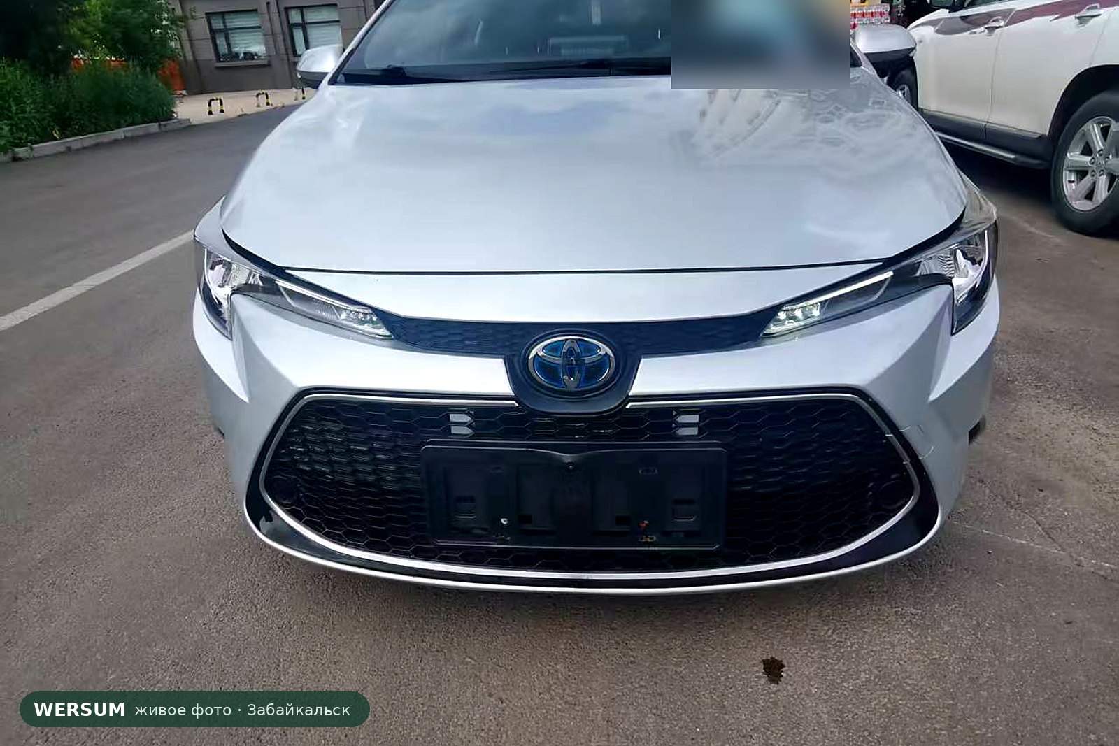 Toyota Levin, гибрид: синий логотип