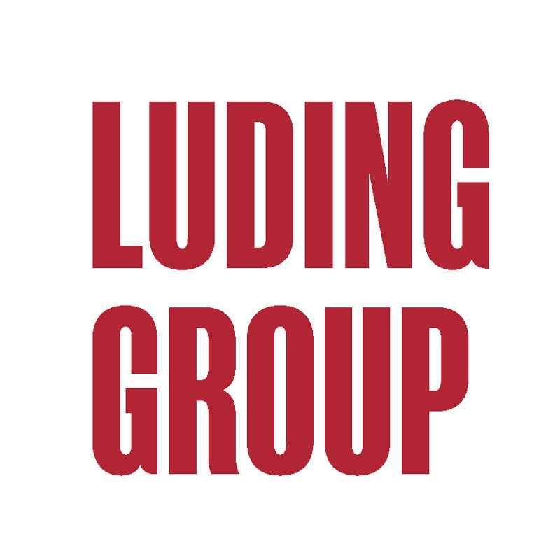 Luding group. Luding логотип.