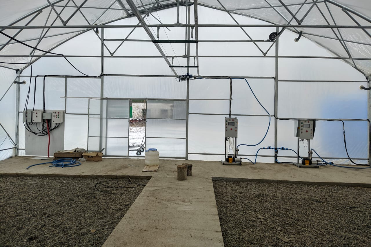 теплица на даче