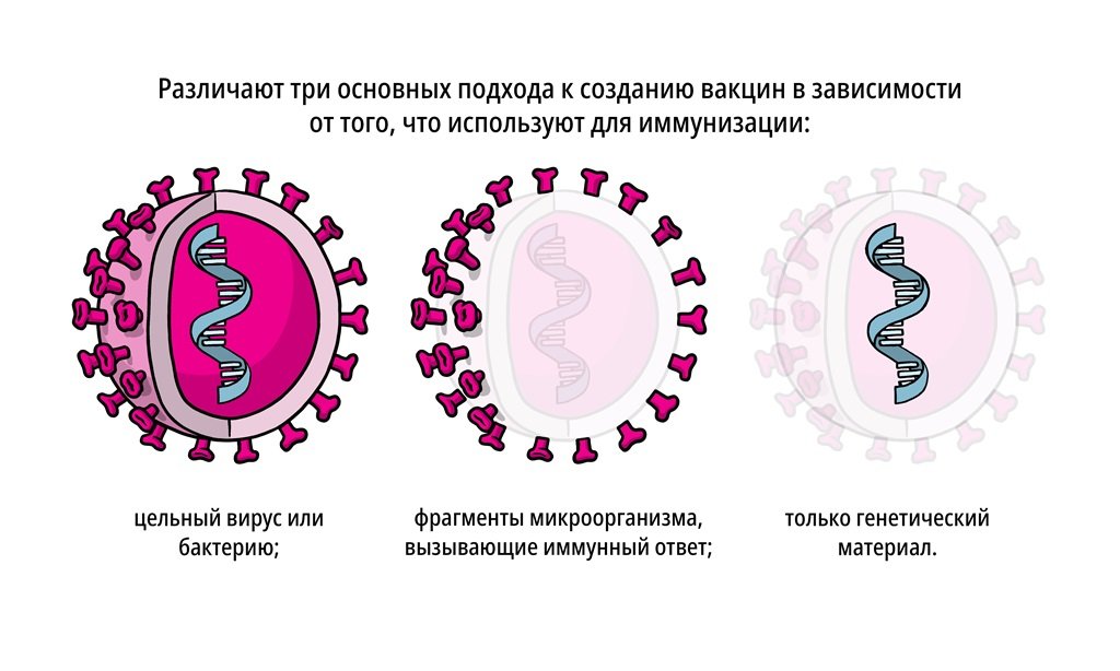 Виды вакцин презентация