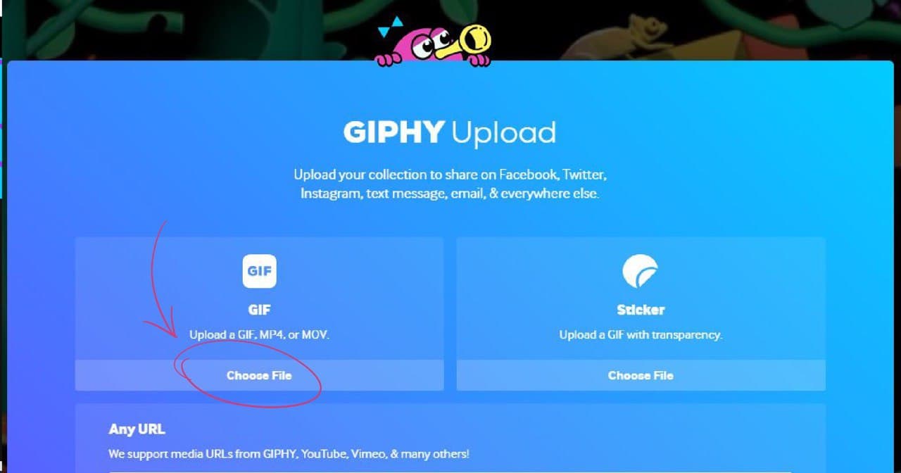 giphy for sharing and social