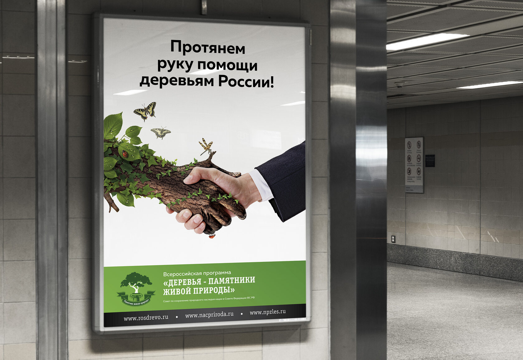 Баннер «Здоровый лес»