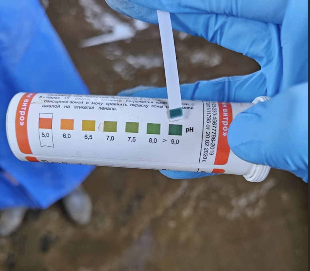 pH мочи крс
