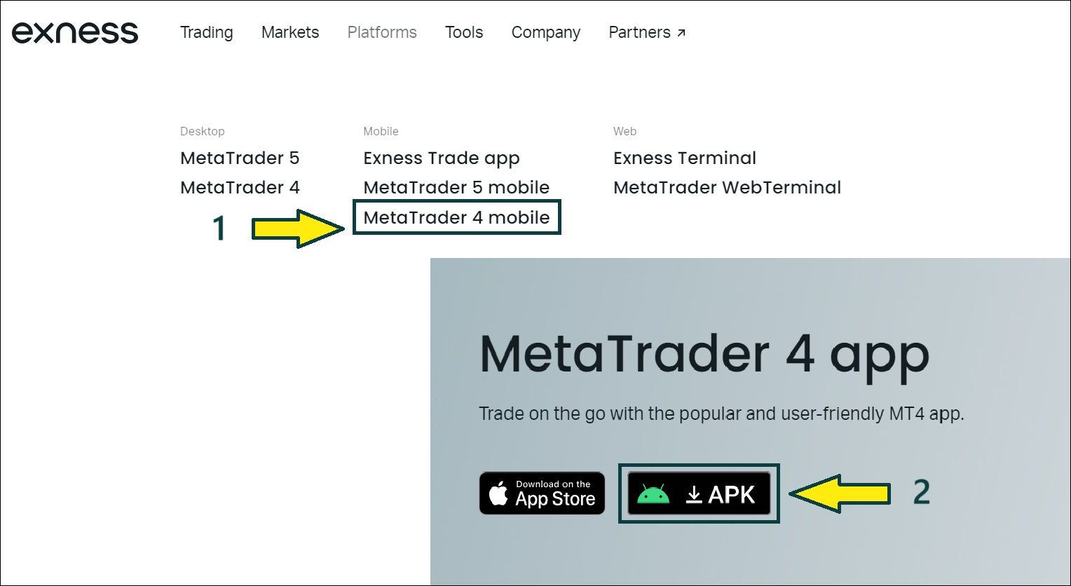 Exness MT5 Login Process Shortcuts - The Easy Way