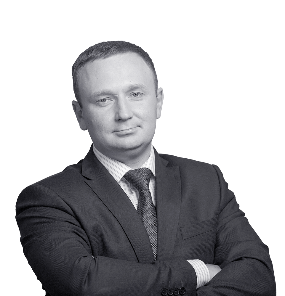 Жеребцов Дмитрий, ментор