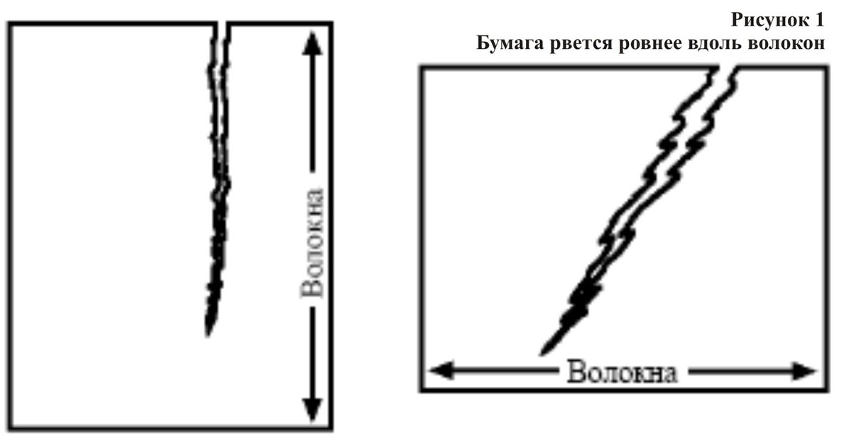 Вдоль листа. Направление волокон в бумаге. Как определить направление волокон бумаги. Направленность волокон бумага. Как определить волокно бумаги.