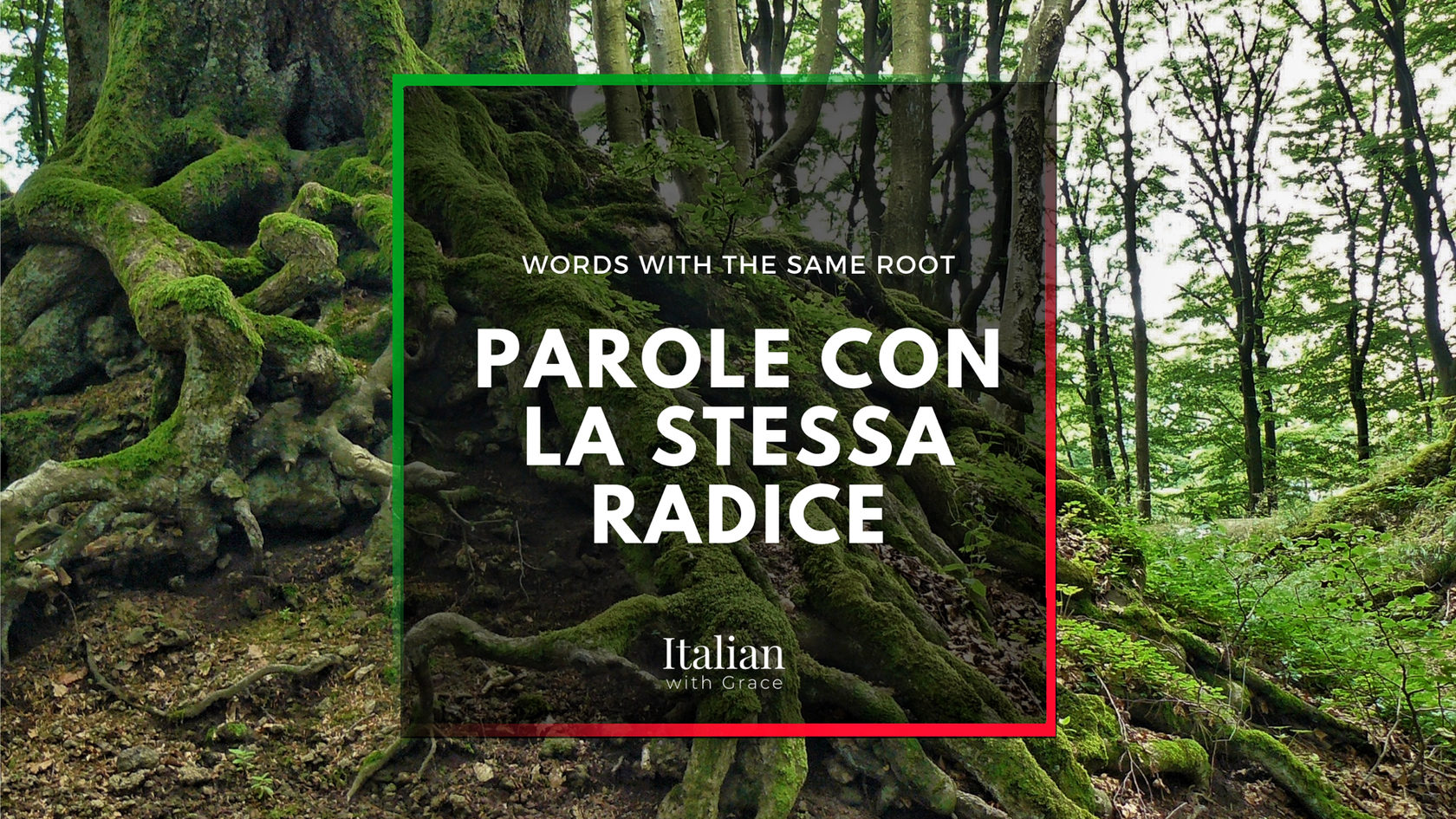 Parole Con La Stessa Radice